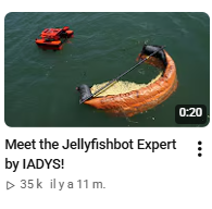 Vidéo IADYS 2